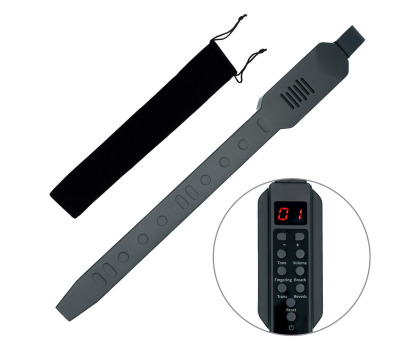 Instrument muzyczny MusicMate Elektroniczny instrument dęty 10w1 MM-D10 AeroTone